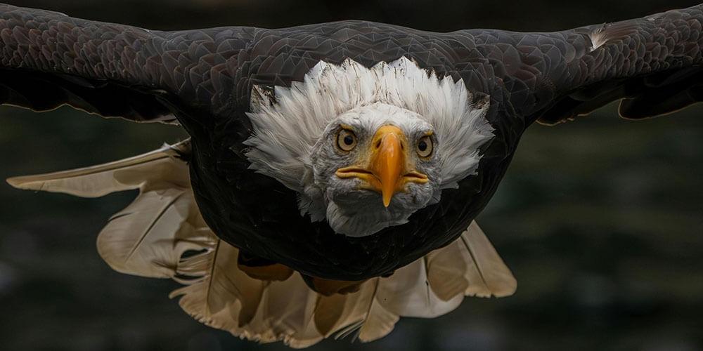 KURUMSAL EĞİTİMLER