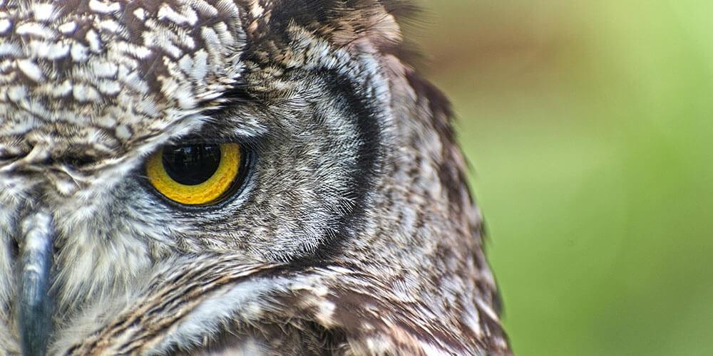 Liderlik ve Yönetim Eğitimleri | Deneyimsel Liderlik Gelişimi