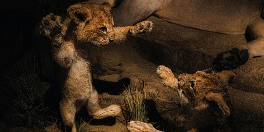 Deneyimsel/Yaşayarak Öğrenme | Kurumlarda Kalıcı Davranış Değişimi