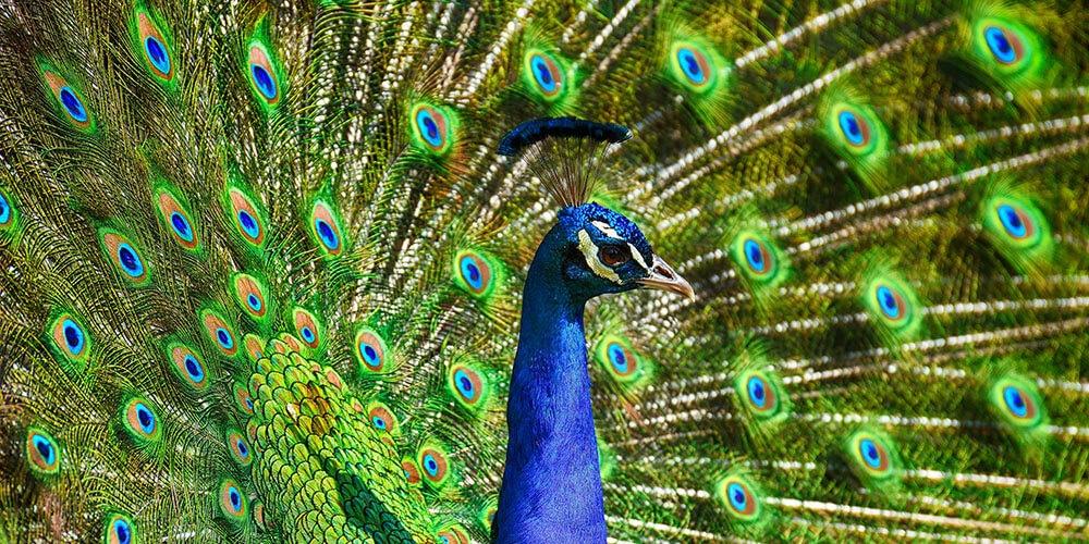 Kurumsal Eğitim ve Etkinlik Konseptleri | Yöne-Team